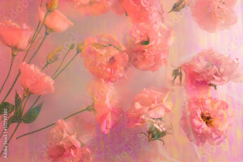 Beautiful vintage flower background - vintage filter effect.Pacific Pink © hugo