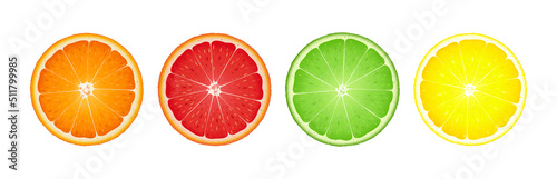 Lemon, lime, orange and grapefruit slices, banner vector illustration in flat cartoon style isolated on white background