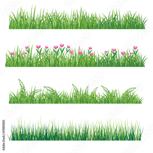 different types of grass