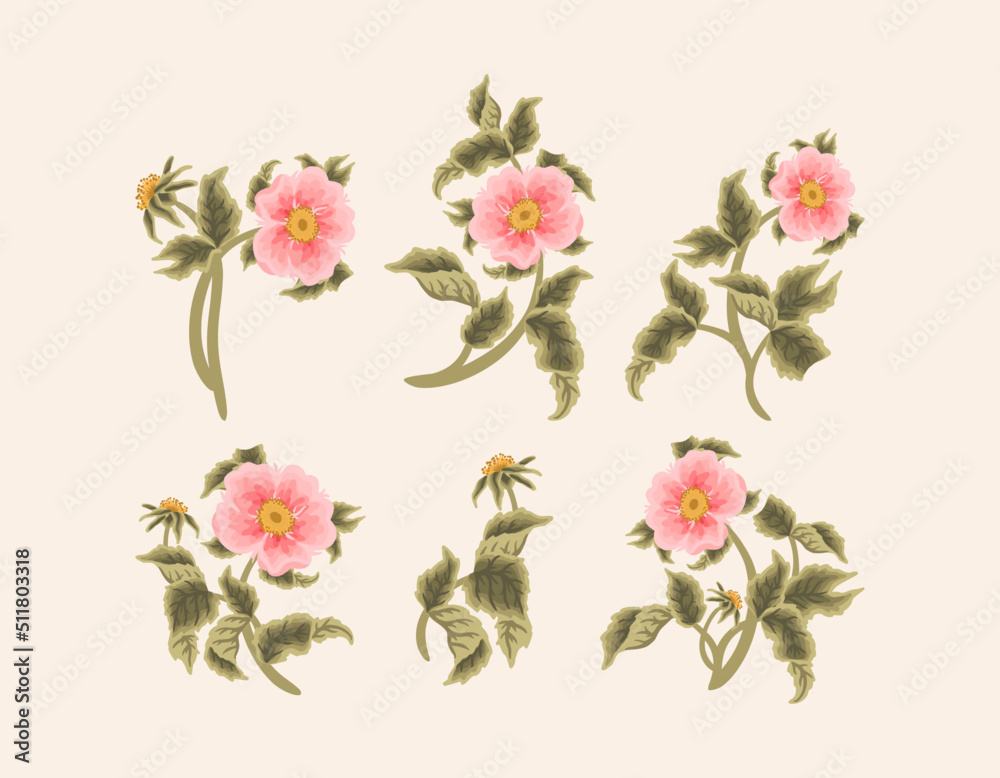 Vintage Hand Drawn Garden Rosa Canina Flower Vector Illustration Elements, Clipart Collection for Wedding Invitation, Greeting Card Decoration Set, Aesthetic Nature Crafts, Art and Creative Projects