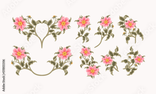 Vintage Hand Drawn Garden Rosa Canina Flower Vector Illustration Elements, Clipart Collection for Wedding Invitation, Greeting Card Decoration Set, Aesthetic Nature Crafts, Art and Creative Projects