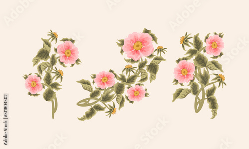 Fototapeta Naklejka Na Ścianę i Meble -  Vintage Hand Drawn Garden Rosa Canina Flower Vector Illustration Elements, Clipart Collection for Wedding Invitation, Greeting Card Decoration Set, Aesthetic Nature Crafts, Art and Creative Projects
