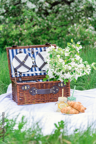 Picnic basket with lemonade and croissants on a white blanket in a blooming apple orchard. Vertical photo