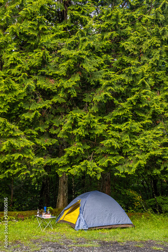 森でキャンプ Camping in the early summer forest 
