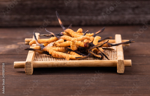 Photography of cordyceps sinensis, a nourishing Chinese herb photo