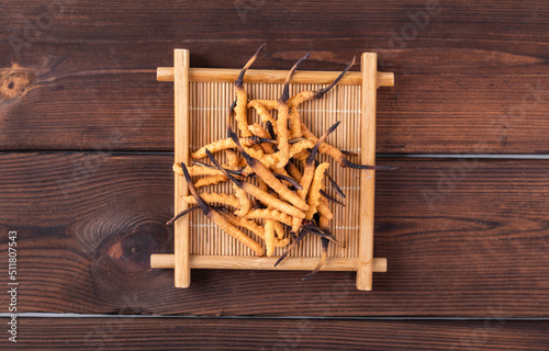 Photography of cordyceps sinensis, a nourishing Chinese herb photo