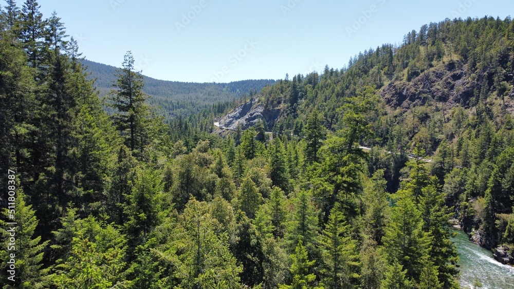 Jedediah Smith Redwood State Park Northern California