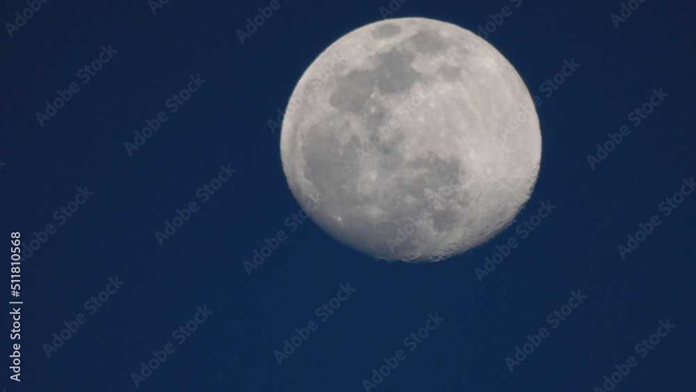 moon in the night moon in the night