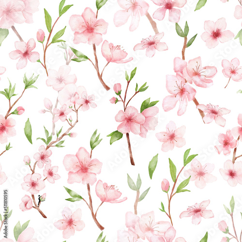 Branch of Cherry blossom watercolor seamless pattern on white backgraund. Japanese flowers. Floral background