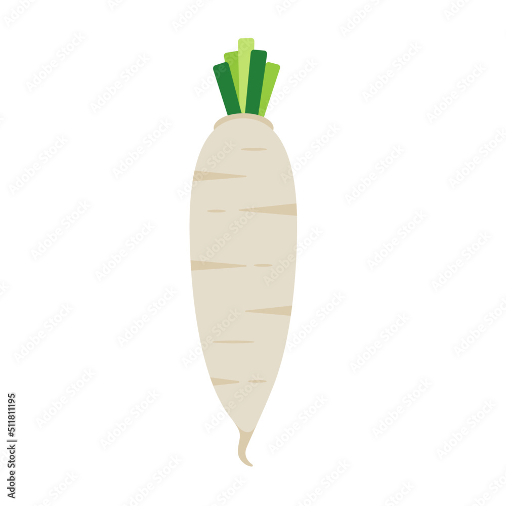 white radish vector illustration logo icon clipart white radish vector illustration logo icon clipart