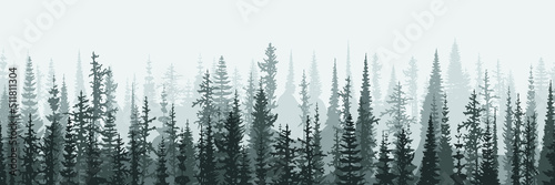Fotografiet Coniferous forest in the morning haze, vector banner