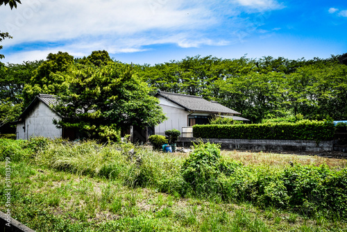 house in the woods