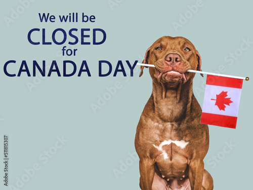 Signboard with the inscription We will be closed for Canada Day. Lovable, pretty brown puppy and Canadian Flag. Closeup, no people. Congratulations for family, relatives, friends, colleagues
