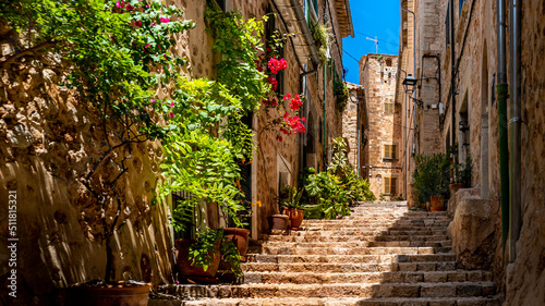Romantic narrow alley with rising stairs lined with red flowers and potted plants in front of typical mediterranean stone houses in the center of the picturesque mountain village Fornalutx, Mallorca. photo