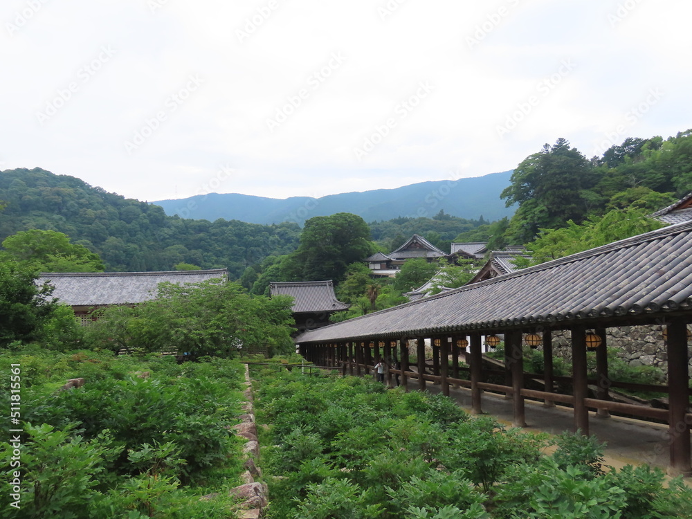 Naklejka premium 奈良の長谷寺で