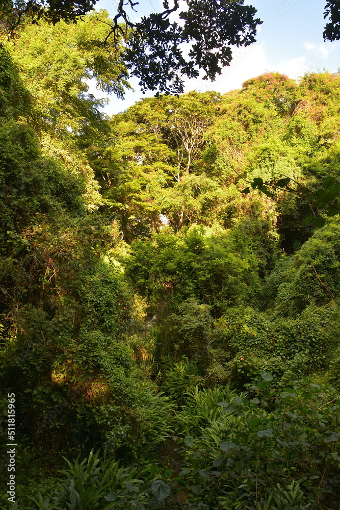 oloolua forest nairobi