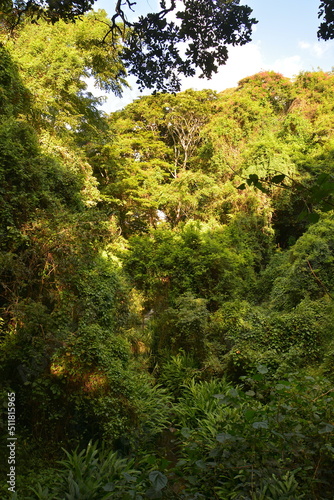 oloolua forest nairobi