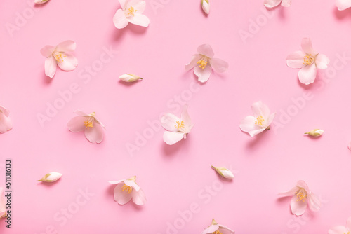 Pattern with jasmine flowers on pastel pink background, lay flat, the top view photo