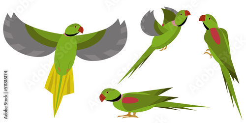 Set of isolated geometric alexandrine parakeets.Four colorful parrots, each on separate layer.For prints,stickers,books,children design,fabrics,decoration