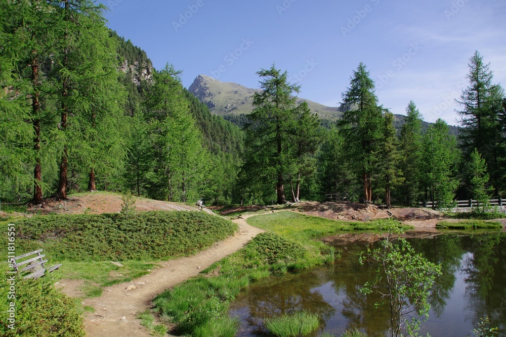 Obraz premium Landschaft im hinteren Martelltal