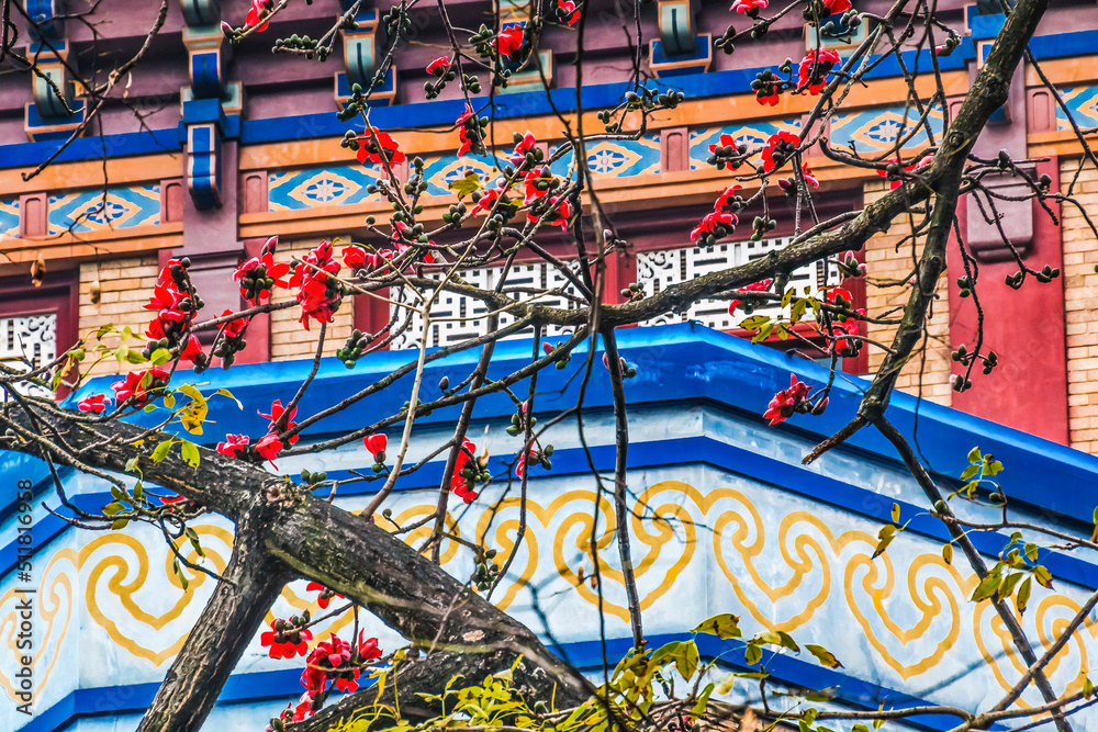 Red Bombax Ceiba Flower Sun Yat-Sen Memorial Guangzhou Guangdong China