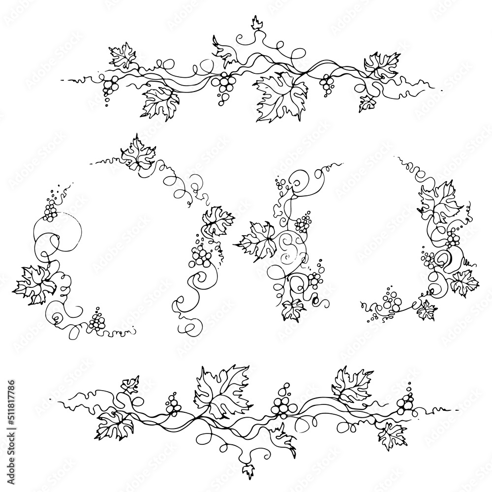 Vine. Vector illustration. Design elements with a twisting vine with leaves and berries. Freehand drawing in line art style. The frame is round with a vine.