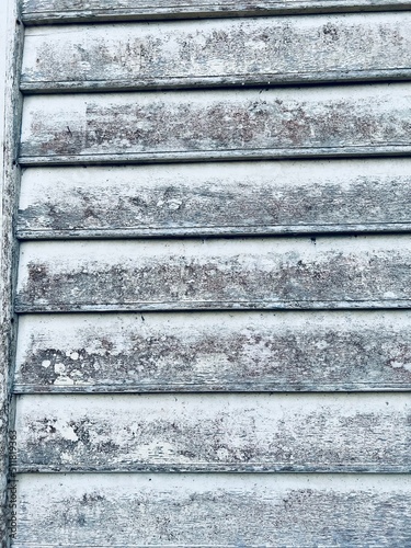 Wallpaper Mural background Torontodigital.ca