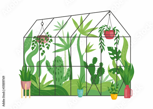 Greenhouse with plant garden. Glasshouse with plantation of growth tropical leaves in a pots. Palm plants and ficus, homegrown cultivated nature. Urban jungle. Modern vector illustration