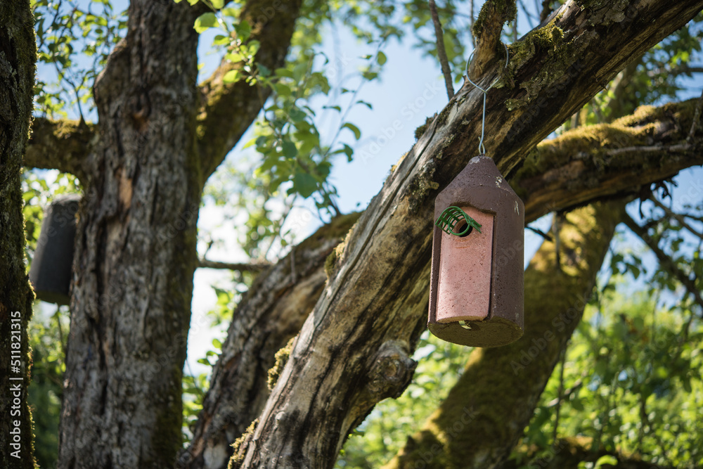 a bird house in a tree
