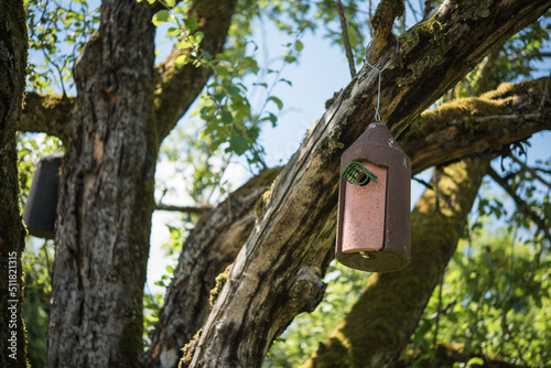a bird house in a tree