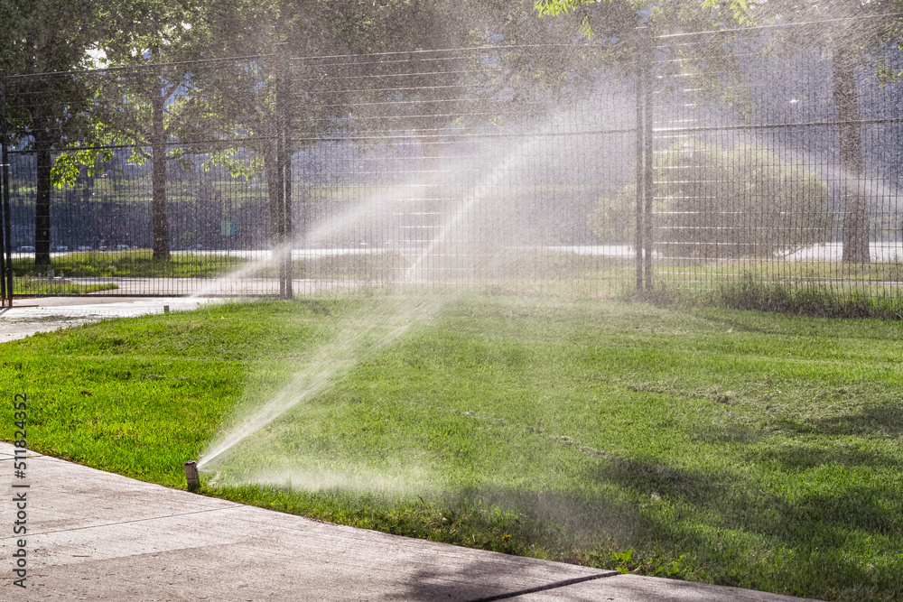 Obraz premium Automatic sprinklers watering grass. Garden Watering Systems. Irrigation System Watering the green grass