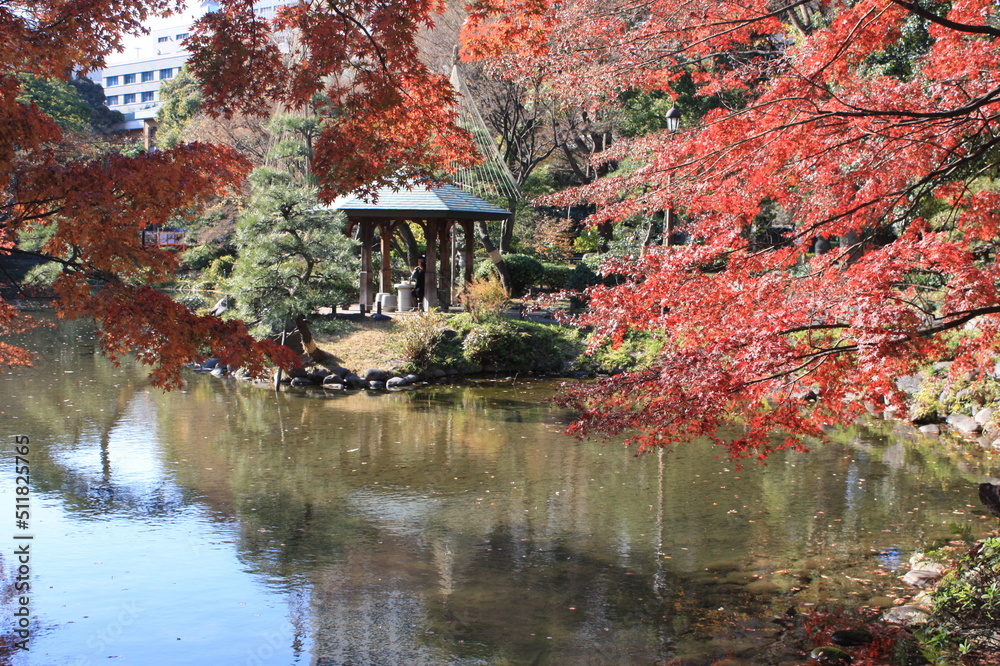Naklejka premium 日本の風景
