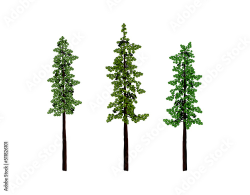 redwood tree vector illustration with hand drawing style photo
