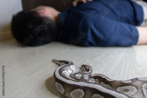 Unconscious Lying on the Floor Bitten by Snake photo