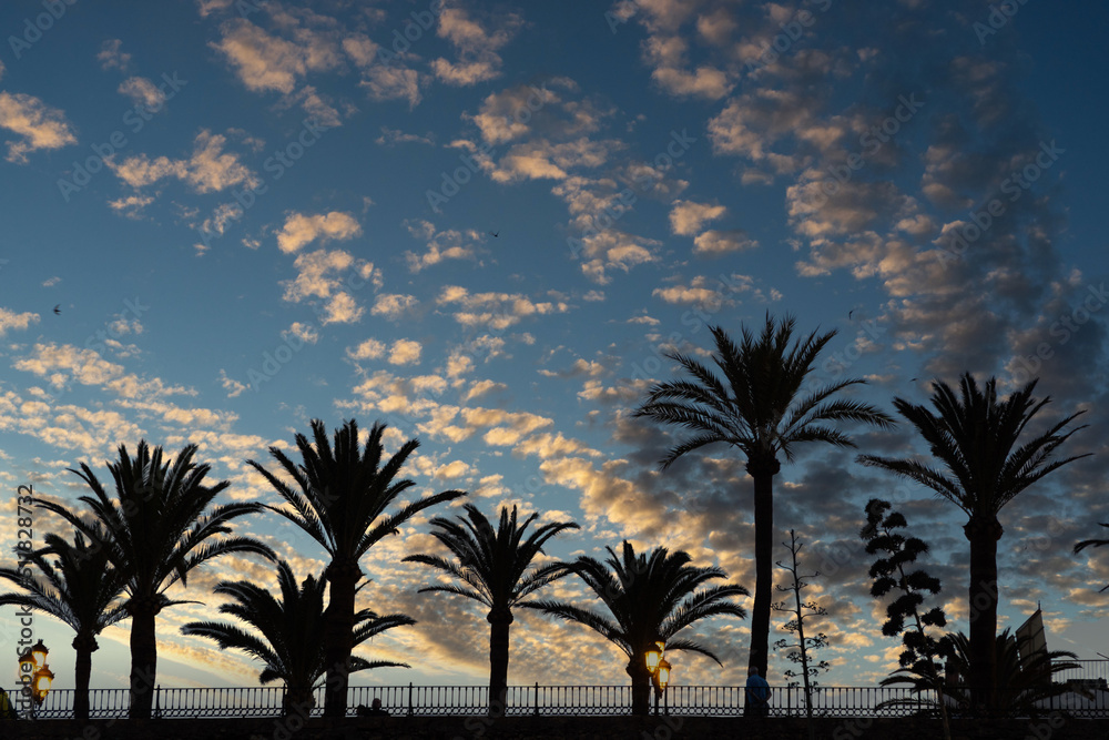 Silhouettes of palm trees on the coastline promenade during the sunset. Tourism concept.