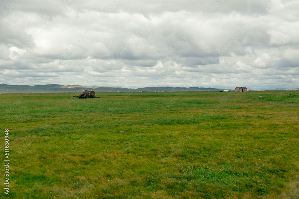 Naklejka premium landscape with cows