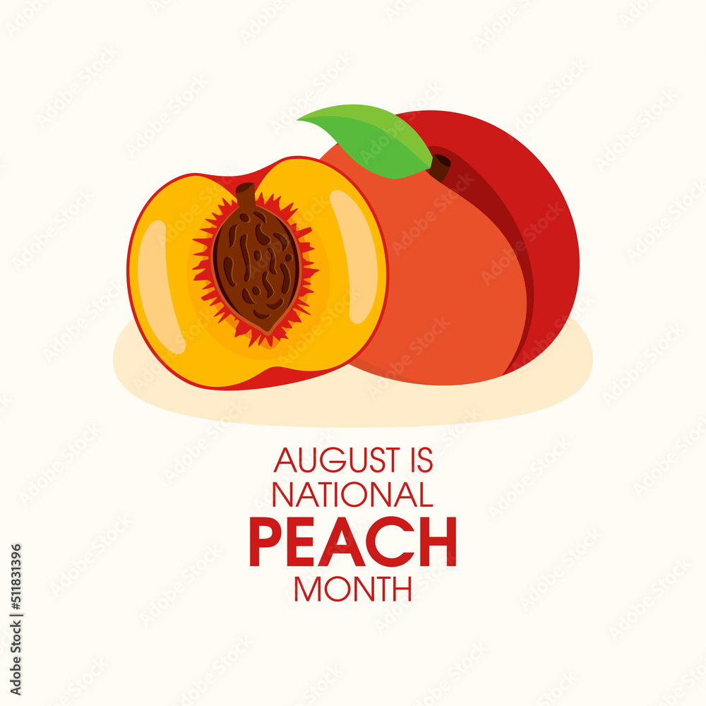 August is National Peach Month vector. Peach cut in half icon vector
