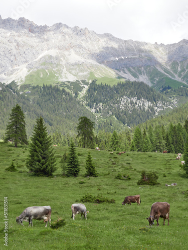Leutascher Alpen im Frühsommer