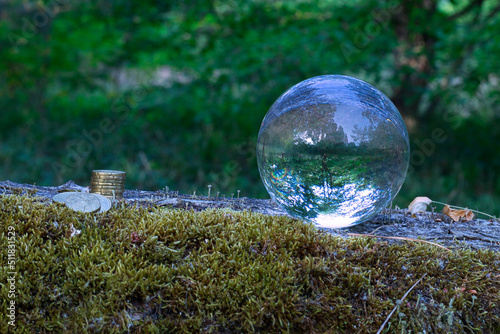 Lensball - Natur - Transparenz  - Zerbrechlich - Ecology - Bioeconomy - High quality photo