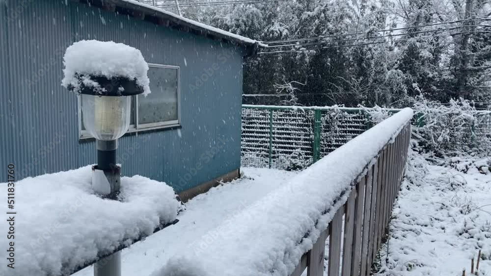 custom made wallpaper toronto digitalSnowy day in the countryside in Japan. Snowy Suburban Serenity: Blue House and Snow-Capped Lamp Amidst Winter Wonderland - Peaceful Cold Weather Scene for Seasonal and Holiday Themes