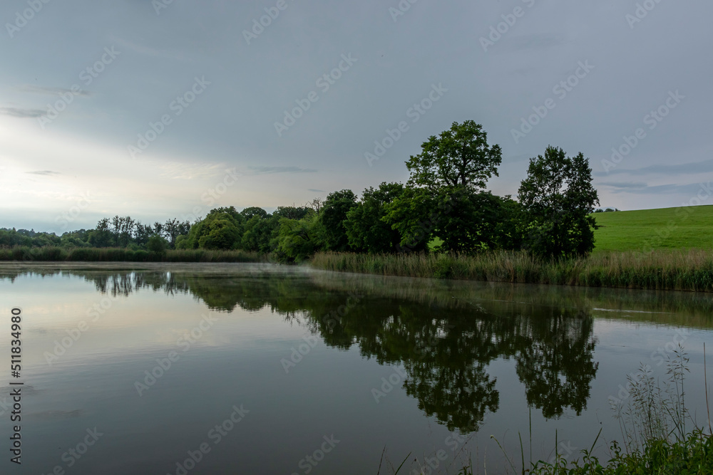 Fototapeta premium Pond surrounded by greenery in golden hour with reflections in the water 