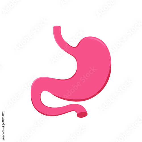 Stomach icon. Human internal organs symbol. Digestive system anatomy. Vector illustration on white background