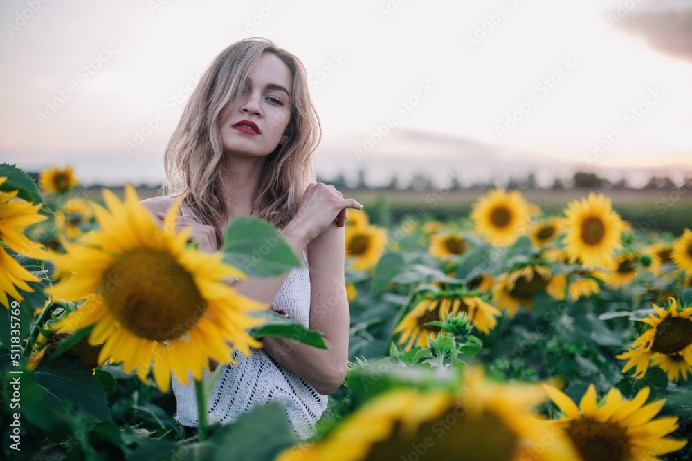 A young, slender girl with loose hair in a T-shirt stands in a field of sunflowers at sunset A young, slender girl with loose hair in a T-shirt stands in a field of sunflowers at sunset