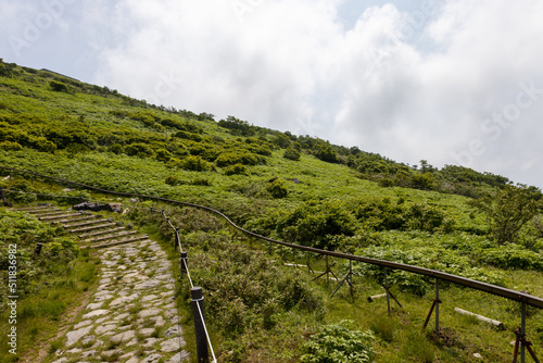 Fototapeta Trail for the top of Mt. Ibuki
