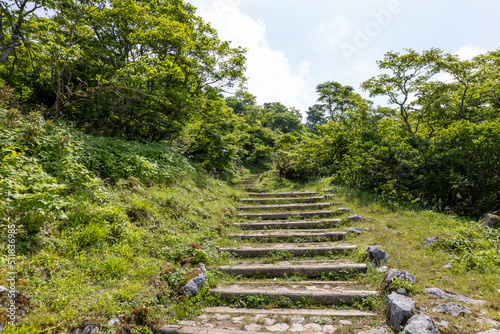 Obraz na płótnie Trail entrance of Mt. Ibuki