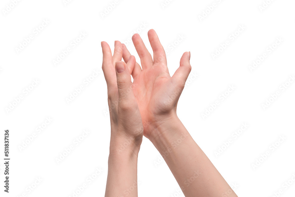 Woman hand isolated on a white background. Woman hand isolated on a white background.