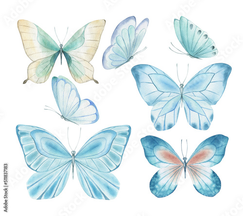Watercolor butterfly set. Hand drawn isolated illustration on white background