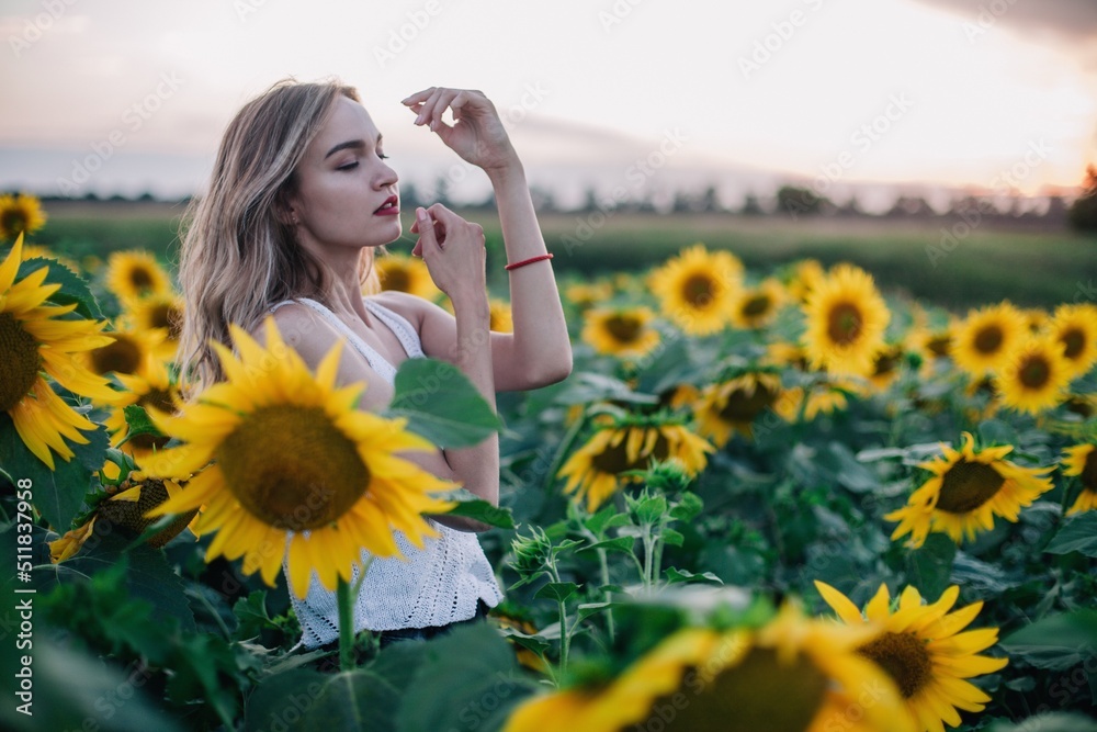 A young, slender girl with loose hair in a T-shirt stands in a field of sunflowers at sunset A young, slender girl with loose hair in a T-shirt stands in a field of sunflowers at sunset