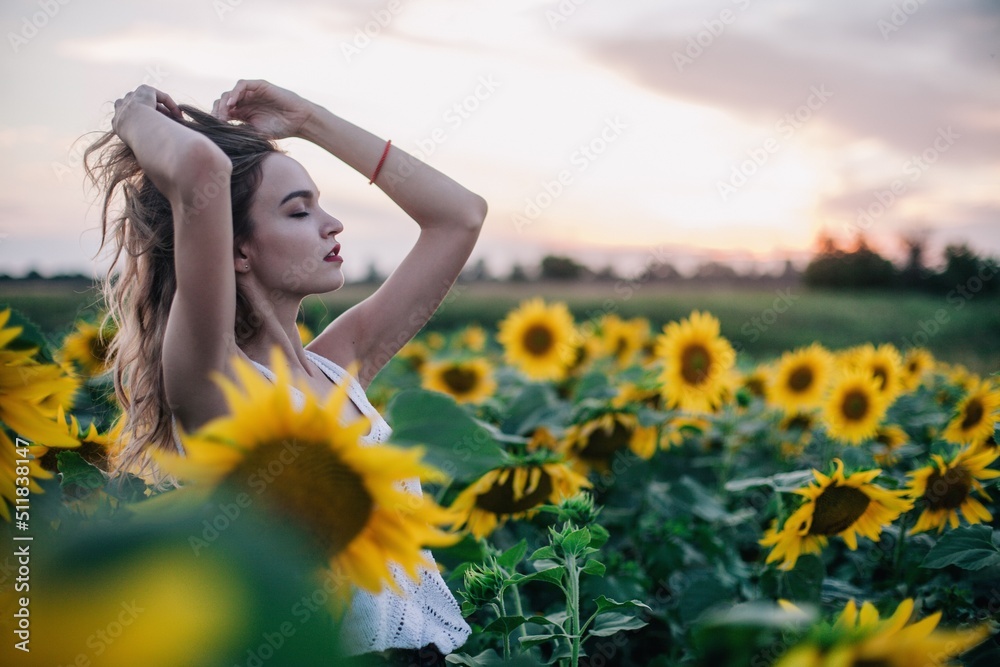 A young, slender girl with loose hair in a T-shirt stands in a field of sunflowers at sunset A young, slender girl with loose hair in a T-shirt stands in a field of sunflowers at sunset
