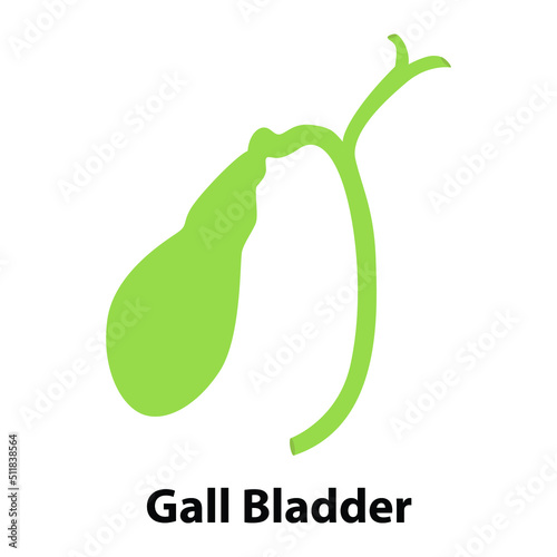 human internal organ gall bladder. vector. on white background
